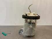 Kraftstoffpumpe Peugeot 207 CC 9657036080