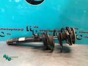 Federbein rechts vorne BMW 3er Touring E46 824903556618