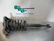 Federbein links vorne Audi A4 Avant 8E, B6