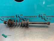 Federbein links hinten VW Golf IV Cabriolet 1E 635440041