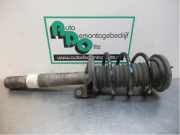 Federbein links vorne BMW 7er E65, E66 824904556847