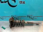 Federbein links vorne VW Passat B5 3B2