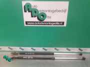 Heckklappendämpfer Toyota Starlet P8 6896010130