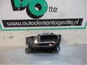 Türgriff links vorne Citroen C3 II SC 1905002