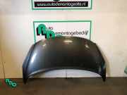 Motorhaube Peugeot 207 SW WK