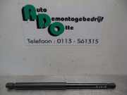 Heckklappendämpfer links Citroen C2 9648388480