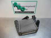 Ladeluftkühler VW Polo IV 9N, 9A 6Q0145804A