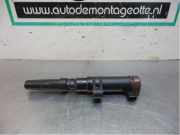 Zündspule Renault Clio III BR0/1, CR0/1 7700875000