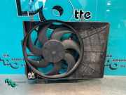 Elektrolüfter Peugeot 207 9680102880