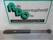 Heckklappendämpfer Hyundai Getz TB 817701C001