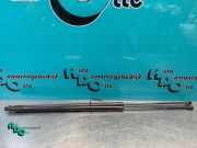 Heckklappendämpfer Renault Kangoo II Rapid FW0 8200497806