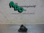 Mapsensor Citroen C1 8942152010