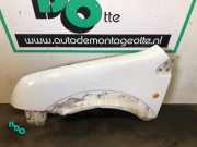 Kotflügel links vorne Ford Transit Connect P*2