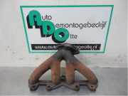 Auspuffkrümmer Renault Twingo II CN0 109325