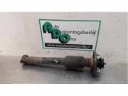 Stoßdämpfer links hinten BMW X5 E53