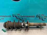 Federbein links vorne Toyota Aygo B1 485200H010