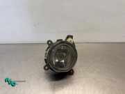 Nebelscheinwerfer links vorne Mini Mini R50, R53 0305060001