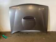 Motorhaube Nissan Terrano II R20 651007F030