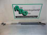 Heckklappendämpfer Toyota Starlet P9