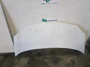 Motorhaube Renault Kangoo II Rapid FW0