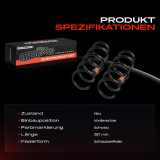 2x Fahrwerksfeder Vorderachse für Fiat Talento 296 Vivaro BX82 Trafic III JG FG