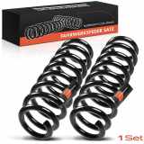 2x Fahrwerksfeder Hinterachse für BMW 3er E90 3er Coupe E92 2.0L 2.5L 3.0L 2004-2013