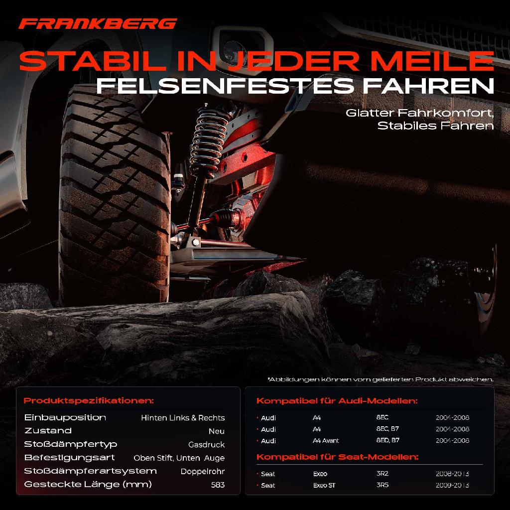 2x Stoßdämpfer Hinterachse für Audi A4 8EC 8EC B7 8ED Seat Exeo 3R2 Exeo ST 3R5 2004-2013