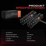 2x Fahrwerksfeder Hinterachse für Mercedes-Benz E-Klasse W211 2002-2008