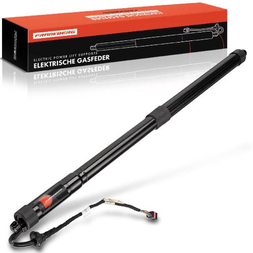 Frankberg 1x Gasfeder Elektrisch Heckklappe Hinten Links für Ford Grand C-Max MPV Bj ab 2010 Bild Frankberg 1x Gasfeder Elektrisch Heckklappe Hinten Links für Ford Grand C-Max MPV Bj ab 2010