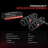 2x Fahrwerksfeder Hinterachse für Audi A3 8P1 Sportback 8PA 1.4L 1.6L 1.8L 1.9L 2.0L 2003-2013