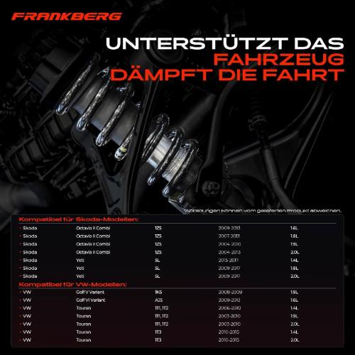 Frankberg 2x Fahrwerksfeder Hinterachse für Skoda Octavia II Yeti VW Golf V VI Touran Bild Frankberg 2x Fahrwerksfeder Hinterachse für Skoda Octavia II Yeti VW Golf V VI Touran