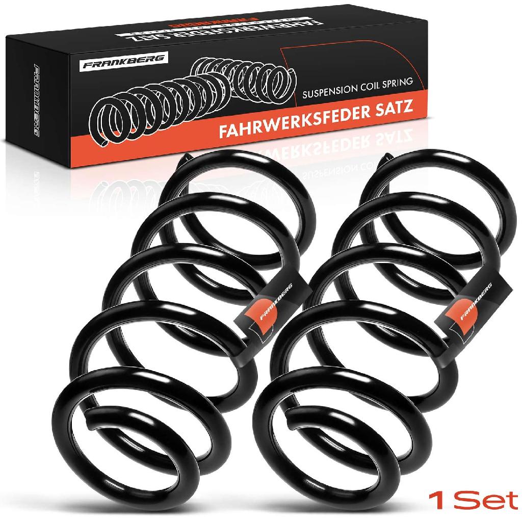 2x Fahrwerksfeder Hinterachse für Audi A6 4B2 C5 VW Passat Variant 3B5 3B6 1997-2005