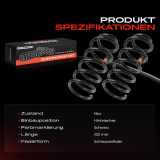 2x Fahrwerksfeder Hinterachse für MINI Mini Cabriolet R57 Clubman R55 2007-2015