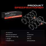 2x Fahrwerksfeder Vorderachse für MG MG ZT MG ZT- T Rover 75 RJ 75 Tourer 2.0L 2.5L 1999-2005