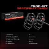 2x Fahrwerksfeder Vorderachse für Renault Laguna Coupe DT0/1 2.0L 2008-2015