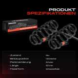 2x Fahrwerksfeder Hinterachse für Toyota Auris E15 1.3L 1.4L 2007-2012