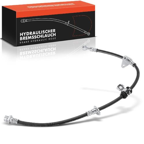 Frankberg 1x Bremsschlauch Bremsschläuche Vorderachse Rechts für Honda Accord IV CB V Rover 600 RH Bild Frankberg 1x Bremsschlauch Bremsschläuche Vorderachse Rechts für Honda Accord IV CB V Rover 600 RH