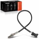 Frankberg 1x Lambdasonde Regelsonde Vor Katalysator für Citroën Berlingo/Berlingo First MPV Saxo Opel Vectra C Peugeot