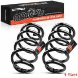Frankberg 2x Fahrwerksfeder Hinterachse für Nissan X-Trail T31 2.0L 2007-2013