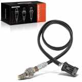 Frankberg 1x Lambdasonde Diagnosesonde Nach Katalysator für Volvo C70 I Cabriolet 873 872 S70 874 V70 I 875 876