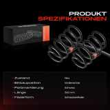 2x Fahrwerksfeder Vorderachse für Nissan X-Trail T31 2.5L 2007-2013