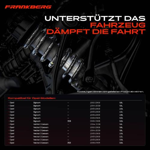 Frankberg 2x Fahrwerksfeder Hinterachse für Opel Signum Z03 Vectra C Caravan Z02 2003-2009 Bild Frankberg 2x Fahrwerksfeder Hinterachse für Opel Signum Z03 Vectra C Caravan Z02 2003-2009