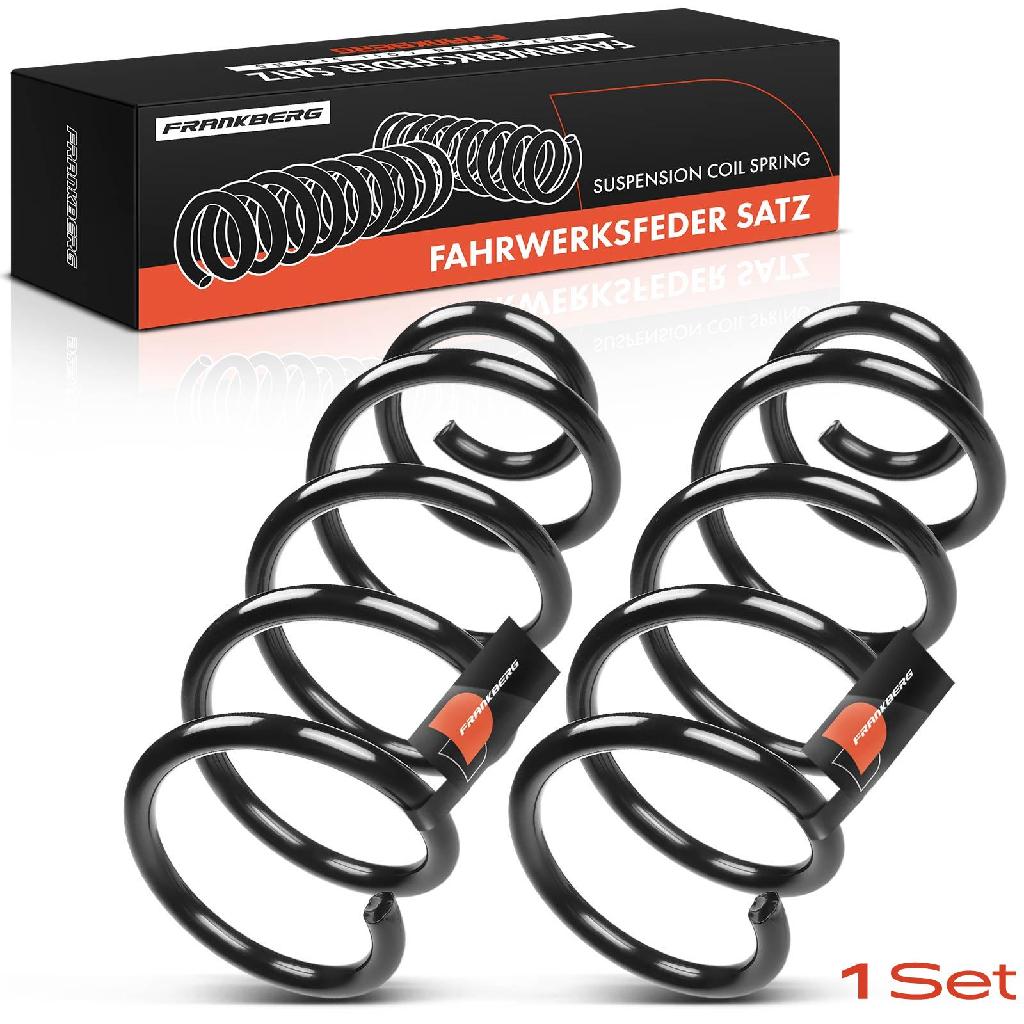 Frankberg 2x Fahrwerksfeder Hinterachse für Fiat Punto 188 Punto Kasten/Schrägheck 2003-2012