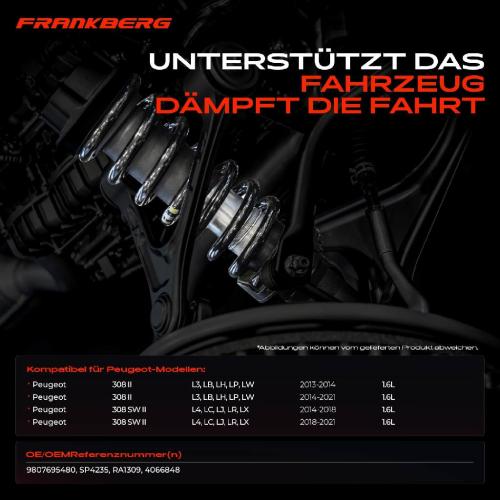 Frankberg 2x Fahrwerksfeder Vorderachse für Peugeot 308 2 L3 LB LH LP LW SW 2 L4 LC LJ LR LX 2013-2021 Bild Frankberg 2x Fahrwerksfeder Vorderachse für Peugeot 308 2 L3 LB LH LP LW SW 2 L4 LC LJ LR LX 2013-2021