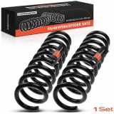 Frankberg 2x Fahrwerksfeder Hinterachse für Mercedes-Benz E-Klasse W210 2.8L 2.9L 3.0L 3.2L 1995-2002