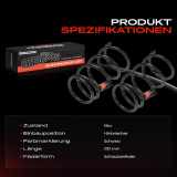 2x Fahrwerksfeder Hinterachse für Suzuki Liana ER RH 1.3L 1.6L Bj ab 2002