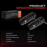 2x Fahrwerksfeder Hinterachse für BMW 1er Cabriolet E88 3er E90 2.0L 3.0L 2006-2013