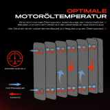 1x Ölkühler Motoröl für VW Golf 5 Jetta Passat 3/4 Audi A3 Seat Leon Skoda Octavia Bj ab 2003