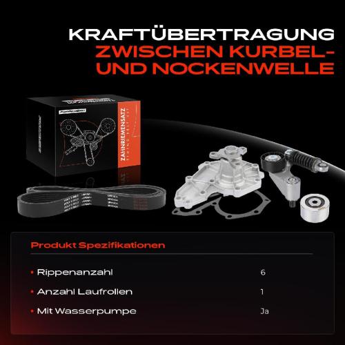 1x Keilrippenriemensatz Wasserpumpe für Renault Espace Laguna Megane I Scénic Bild 1x Keilrippenriemensatz Wasserpumpe für Renault Espace Laguna Megane I Scénic