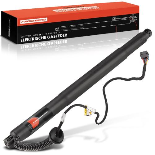 1x Gasfeder Elektrisch Heckklappe Hinten Links für BMW X6 F16 F86 2016/08-2019 Bild 1x Gasfeder Elektrisch Heckklappe Hinten Links für BMW X6 F16 F86 2016/08-2019